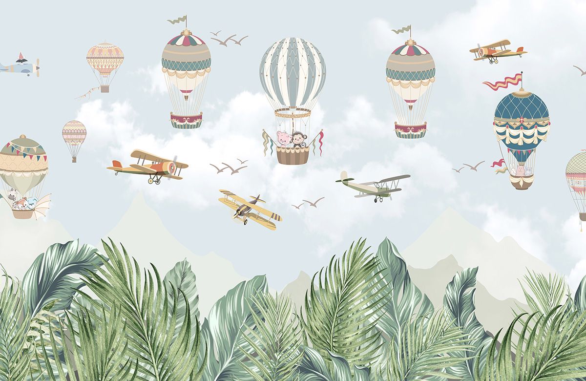 plane-wallpaper-for-wall-design-only